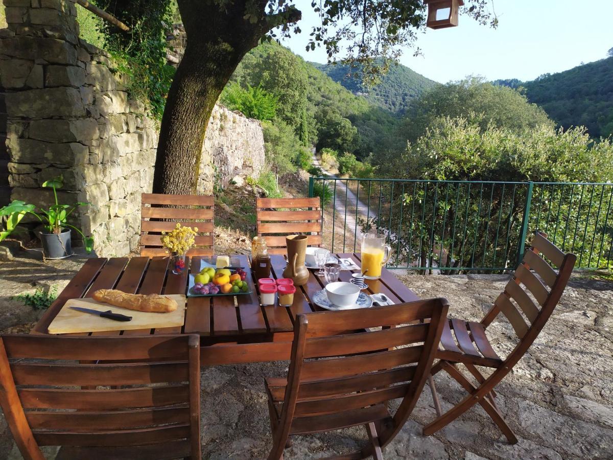 Chambre Cevennes: Piscine, Lamas, Riviere Cros  Exterior foto